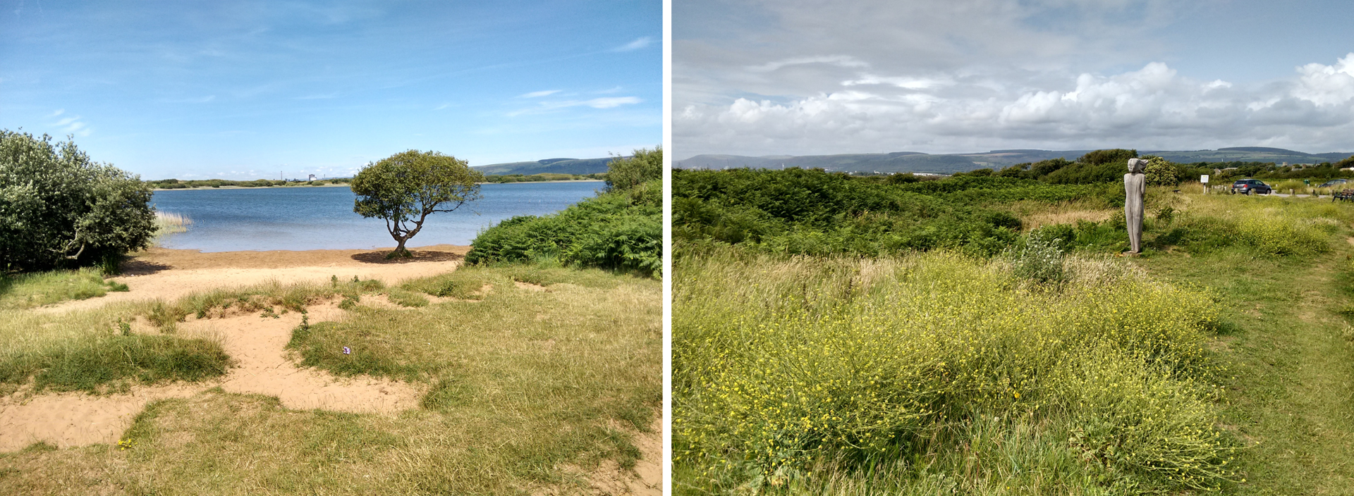 Kenfig Nature Reserve