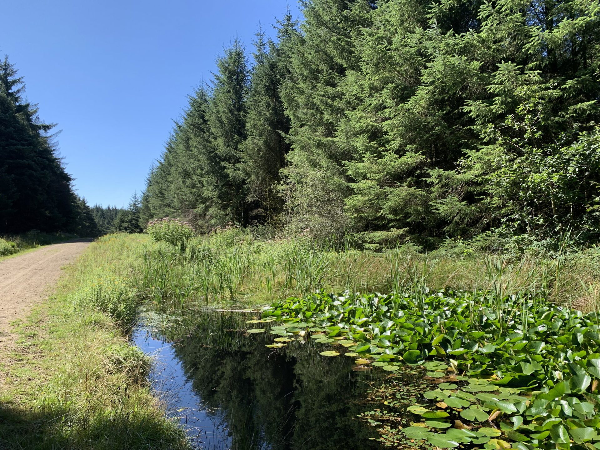 Great Glamorgan Way - Maesteg