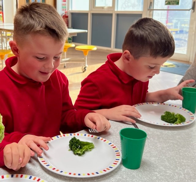 Pupils at Brackla Primary School give the seal of approval for Welsh organic broccoli during a ‘broccoli tasting’ session.