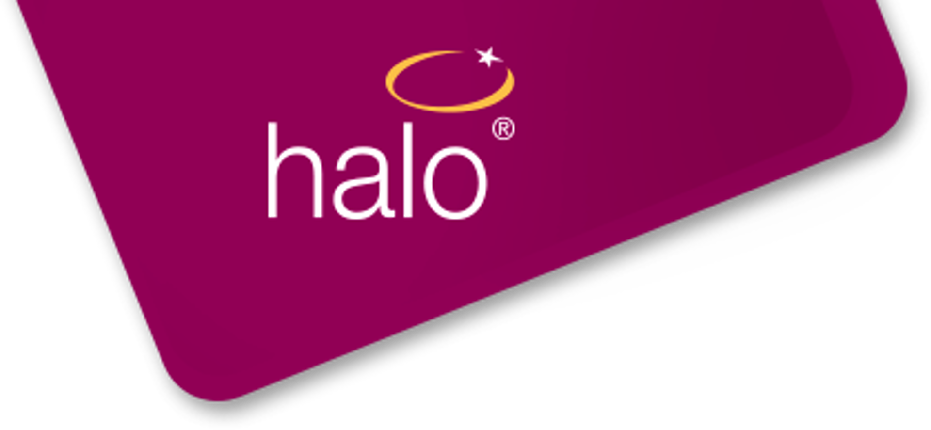 Halo Leisure logo